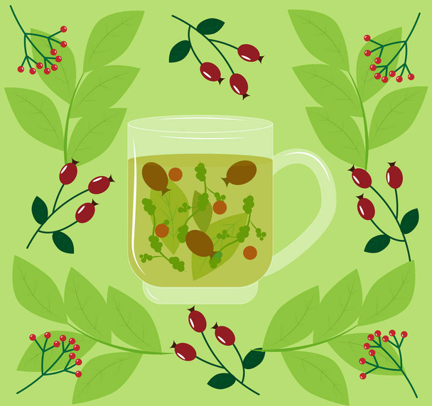 τσάι βοτάνων με αγριοτριανταφυλλιά και viburnum - Διάνυσμα, εικόνα