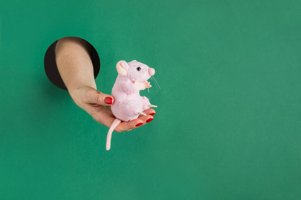 Chinesisches Tierkreiszeichen Jahr der Ratte im Loch. Frau hält Spielzeug in der Hand  - Foto, Bild