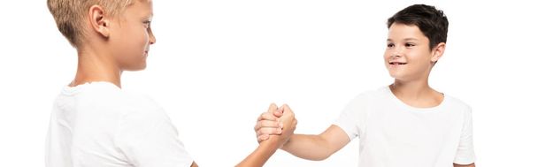 panoramic shot of smiling brothers holding hands isolated on white - Photo, Image