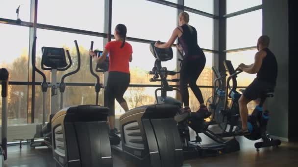 Jonge fitte vrouw met een ellipsentrainer in een fitnesscentrum. Een groep jonge vrouwen traint op sporttrainingstoestellen in een fitnessruimte. Steady cam schot - Video