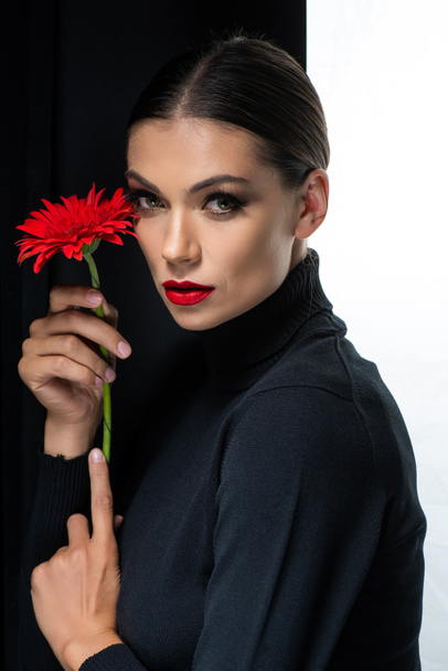 beautiful woman with red lips holding red gerbera isolated on white and black - Фото, изображение