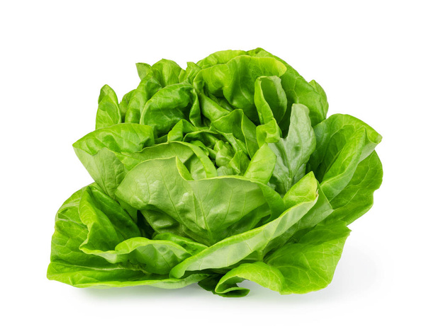 green butter lettuce - Photo, Image