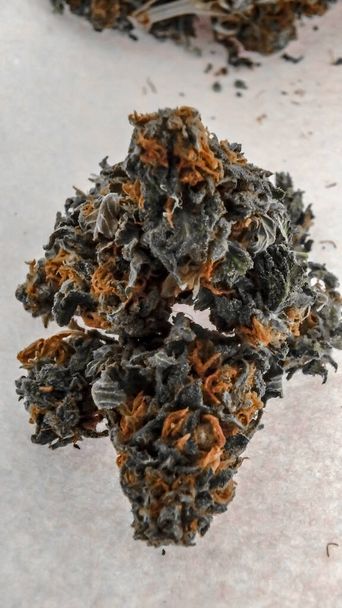 Close Up of Large Marijuana Buds with Orange-Red Hairs on a Whit - Photo, Image