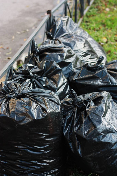 Μαύρες σακούλες σκουπιδιών με φθινοπωρινά φύλλα στο δρόμο  - Φωτογραφία, εικόνα