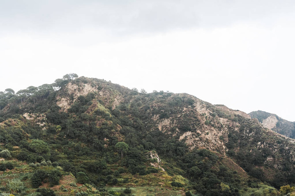 зелені дерева і рослини в спокійних горах на тлі неба
   - Фото, зображення