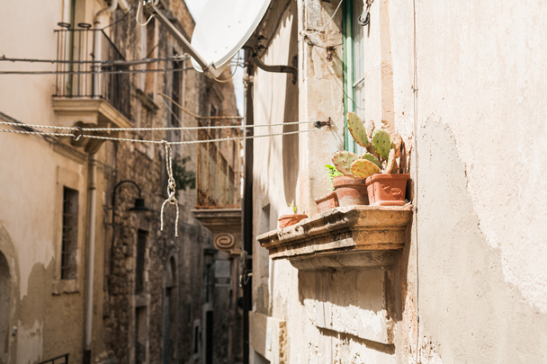 επιλεκτική εστίαση του πράσινου κάκτου σε γλάστρες στο περβάζι του παραθύρου κοντά σε σπίτια στην Ιταλία  - Φωτογραφία, εικόνα