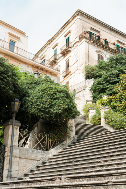 vista en ángulo bajo de plantas y árboles cerca de escaleras y casas antiguas en modica, Italia
  - Foto, imagen