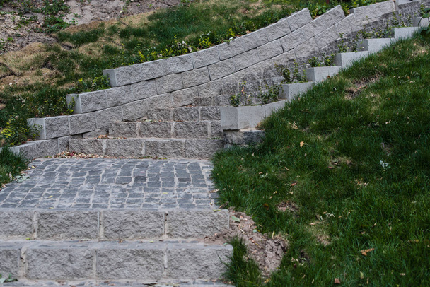 Stenen trap tussen groen gras in park  - Foto, afbeelding