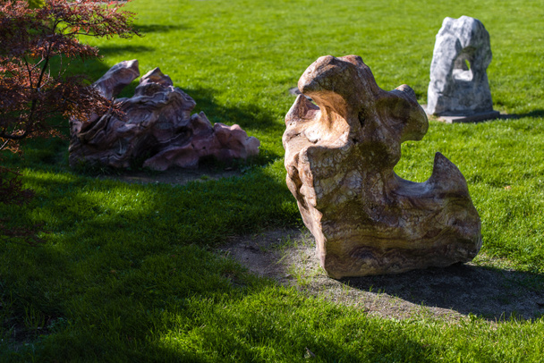 Boom en stenen met zonlicht op groen gazon  - Foto, afbeelding