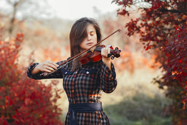 beautiful young woman playing violin on a background of red foliage, romantic girl in dress playing a musical instrument in nature, musical performance outdoors, concept of hobby and passion in art - Фото, изображение