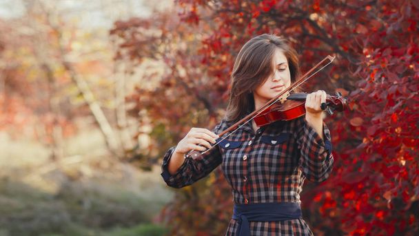 beautiful young woman playing violin on a background of red foliage, romantic girl in dress playing a musical instrument in nature, musical performance outdoors, concept of hobby and passion in art - Foto, afbeelding