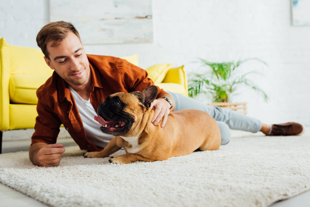 Man petting french bulldog on carpet in living room - Zdjęcie, obraz