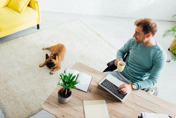 Sorrindo homem com deficiência com laptop e xícara olhando em bulldog francês na sala de estar
 - Foto, Imagem