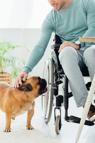 Cropped view of smiling disability man stroking french bulldog - Fotografie, Obrázek