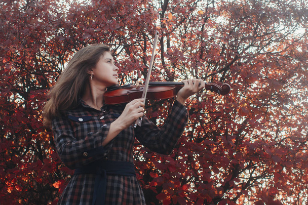 beautiful young woman playing violin on a background of red foliage, romantic girl in dress playing a musical instrument in nature, musical performance outdoors, concept of hobby and passion in art - Photo, Image