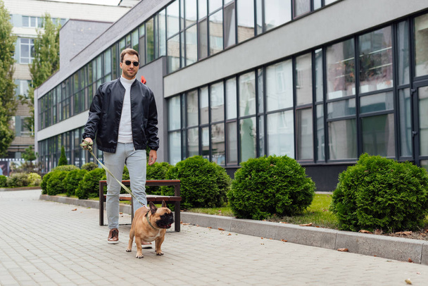 Handsome man walk with french bulldog on leash along street - Photo, Image