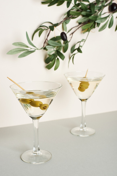 Martini cocktails with olive branch isolated on white background - Foto, Imagen