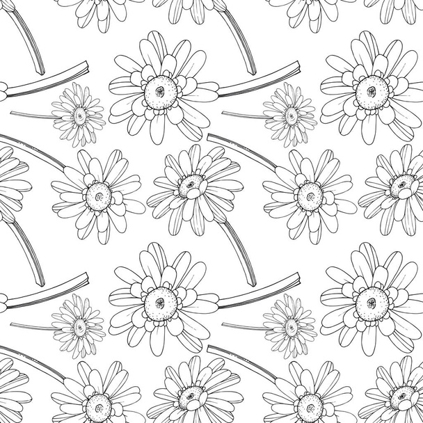 Vector Gerbera flor botánica floral. Grabado en blanco y negro
 - Vector, imagen
