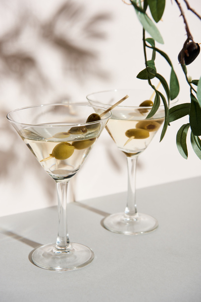 Glasses of martini and olive branch on white background - Foto, Imagen