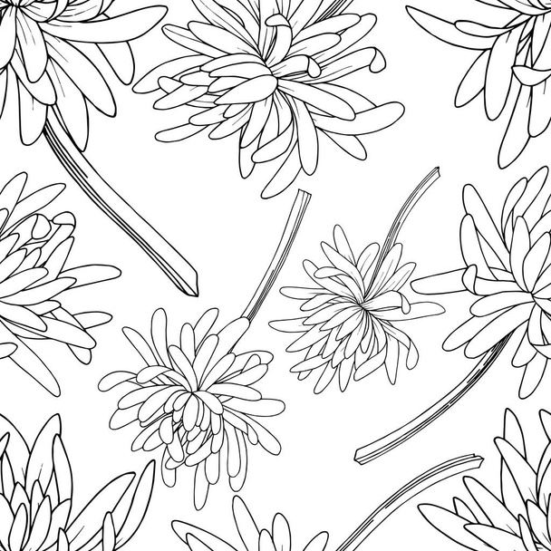Vector Chrysanthemum ανθικό βοτανικό λουλούδι. Μαύρο και άσπρο χαραγμένο μελάνι τέχνης. Χωρίς ραφή μοτίβο φόντου. - Διάνυσμα, εικόνα