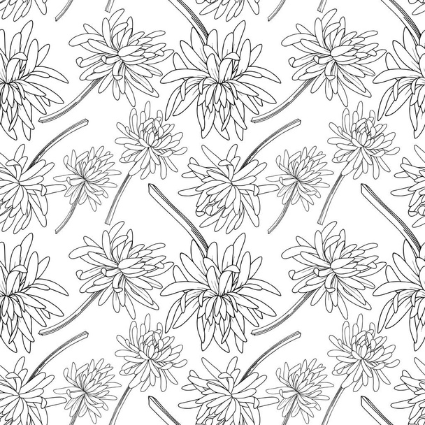Vector Chrysanthemum ανθικό βοτανικό λουλούδι. Μαύρο και άσπρο χαραγμένο μελάνι τέχνης. Χωρίς ραφή μοτίβο φόντου. - Διάνυσμα, εικόνα