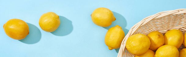 сверху вид спелых желтых лимонов, разбросанных по плетеной корзине на синем фоне, панорамный снимок
 - Фото, изображение