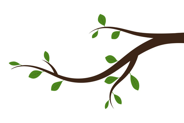 Κλαδί δέντρου με πράσινα φύλλα. Απεικόνιση διανυσματικών φορέων. - Διάνυσμα, εικόνα
