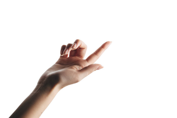 mão feminina com belos dedos finos, isolado em um branco
 - Foto, Imagem