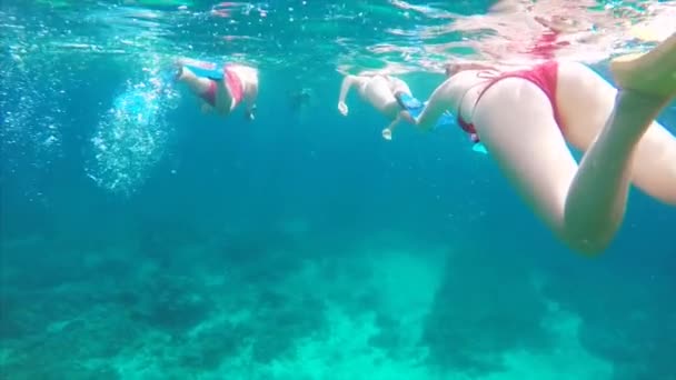 Bodies of men and women snorkeling in transparent ocean, Bali, Indonesia. Slow motion - Footage, Video