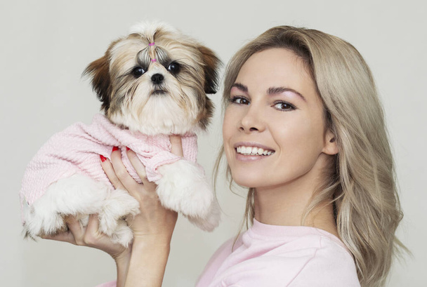 beautiful cute girl holding a well groomed shih tzu puppy in a pink sweater - 写真・画像