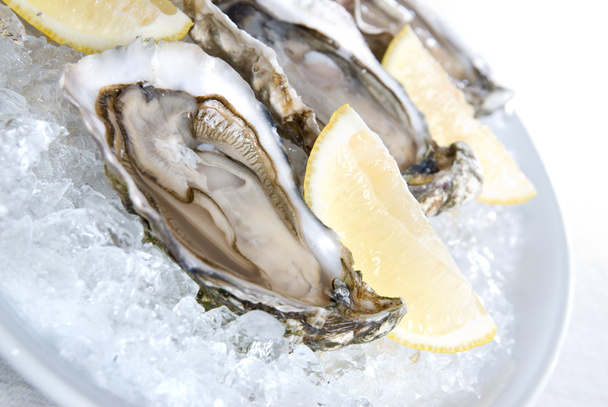 Raw oysters with lemon and ice - Foto, Imagem
