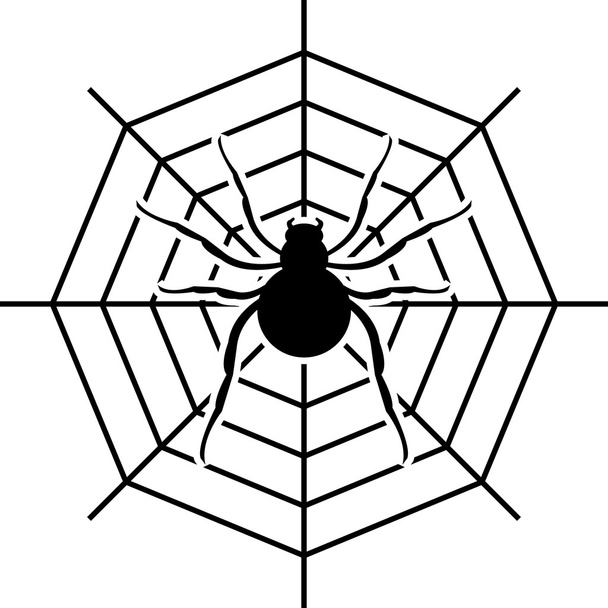 Aranha e web vector
 - Vetor, Imagem