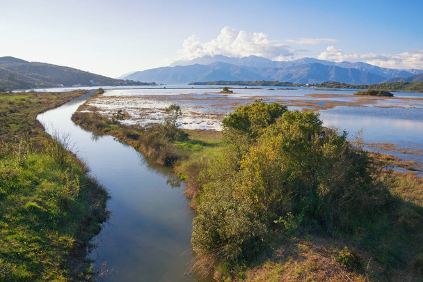 Beautiful wetland landscape. Montenegro, Tivat. View of Tivat Salina  ( Tivatska Solila ) - special botanical and animal reserve - Photo, Image
