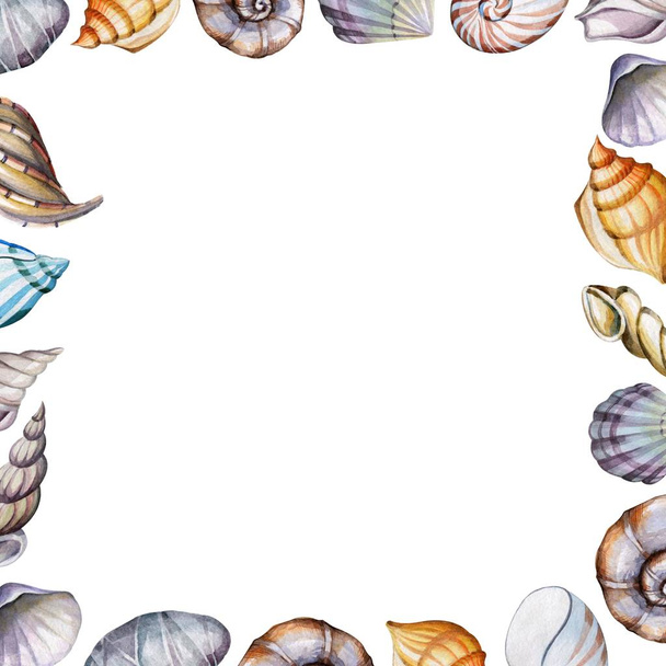 Frame of seashells. Watercolor background for greeting card. - Fotoğraf, Görsel