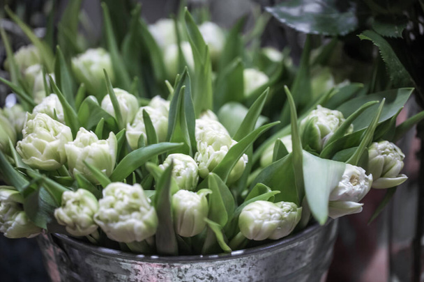 Belles tulipes blanches dans la fenêtre d'un magasin de fleurs
. - Photo, image
