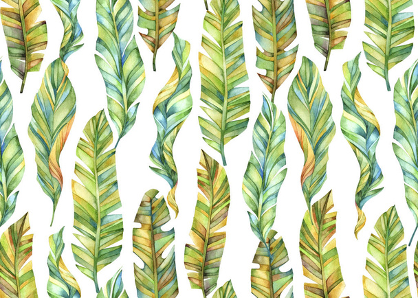Seamless watercolor pattern of large leaves. Floral ornament. - Photo, image