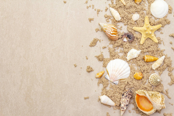 Seashells sandy summer background. Lots of different seashells piled together, copy space, frame, top view. - Photo, Image