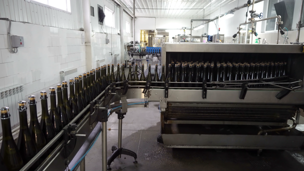 Şişeleme ve Konveyör hattı şarap Fabrikası'nda mühürleme - Video, Çekim
