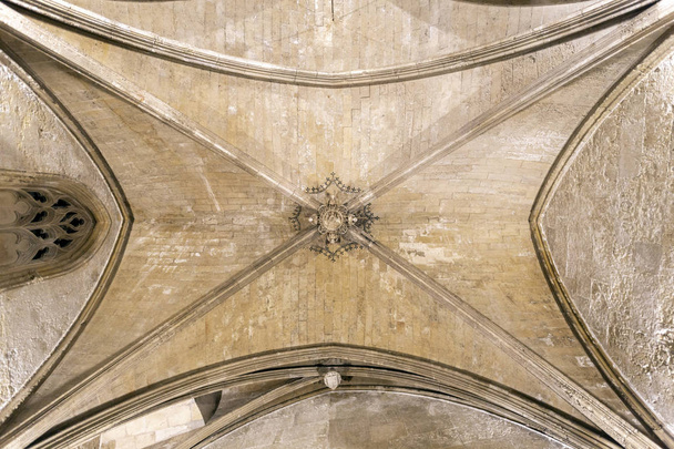 Catedral de Palma
 - Foto, imagen
