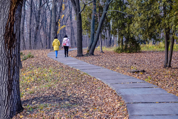 simple and sports walks in the Park in mid-autumn  - Fotografie, Obrázek