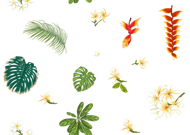 Seamless pattern, background with tropical plants - Vector, Imagen