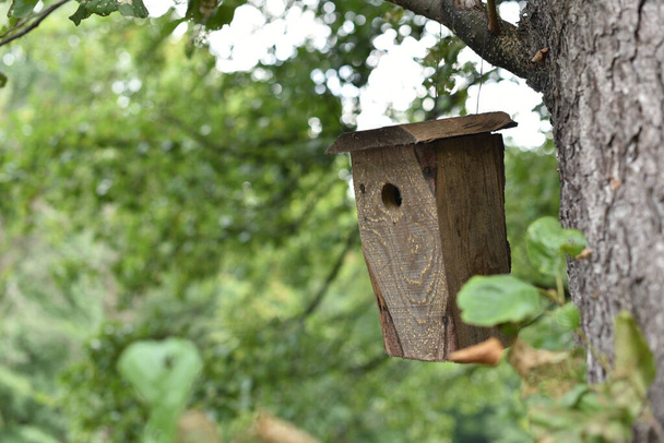 luz, pajarera de madera para pájaros, suspendida en una rama en el parque, junto al río en el otoño
 - Foto, imagen