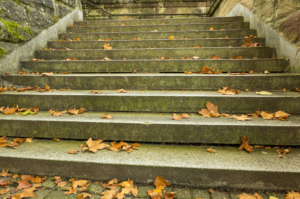 Зовнішні кам'яні сходи, покриті осіннім листям
 - Фото, зображення