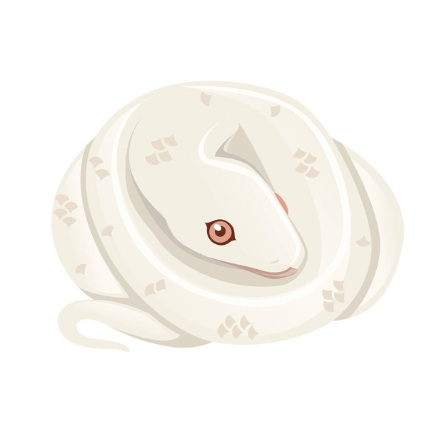 White albino serpiente dibujos animados sobre diseño animal ilustración vectorial plana aislada sobre fondo blanco - Vector, imagen
