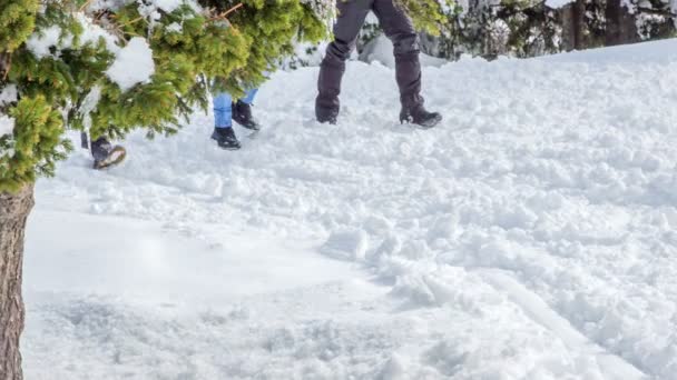 Er lopen drie mensen op de sneeuw ergens in de natuur. Het is een goede dag om wat tijd buiten door te brengen op frisse lucht.. - Video
