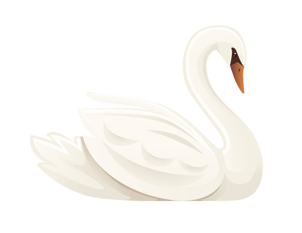 White swan largest flying bird swim on water cartoon animal design flat vector illustration isolated on white background - Vettoriali, immagini