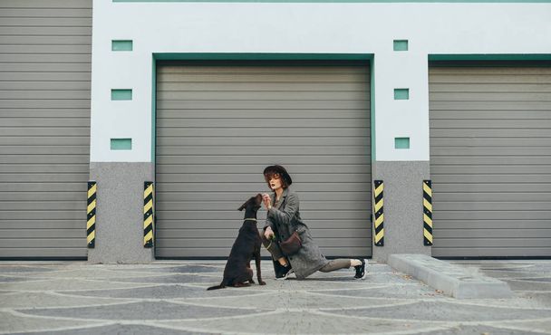 帽子とコートのスタイリッシュな女の子は地面に犬と座って、灰色の壁の背景に彼女を訓練します。散歩中の犬と遊んでいる女の子。ペットとオーナーのコンセプト. - 写真・画像