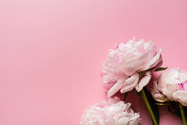 Hermosas flores de peonía sobre fondo rosa pastel, espacio de copia para su texto, vista superior, estilo laico plano. Feliz día de las madres tarjeta de felicitación maqueta. Día Internacional de la Mujer. Plantilla de día de San Valentín
 - Foto, imagen