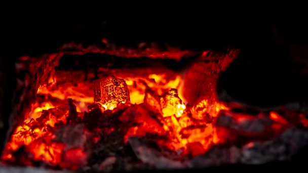 Спалення чагарників у лісовій улоговині - Фото, зображення