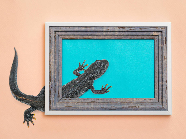 Art collage black lizard crawling between the frame and the wall. Contemporary art. - Фото, изображение